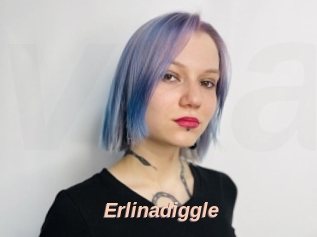 Erlinadiggle