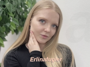 Erlinafugler