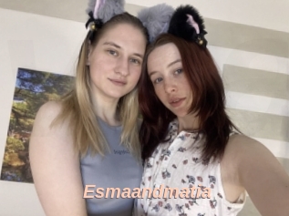Esmaandmatia