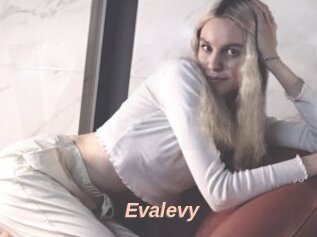 Evalevy