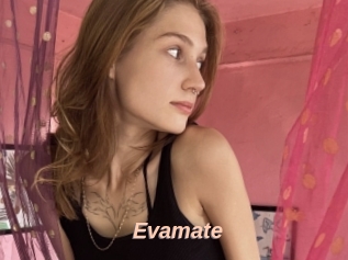 Evamate