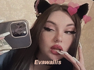 Evawallis