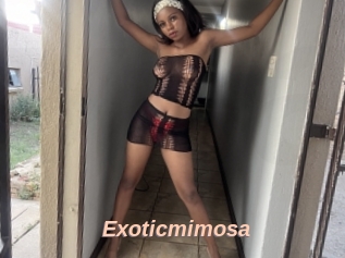 Exoticmimosa