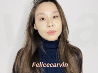 Felicecarvin