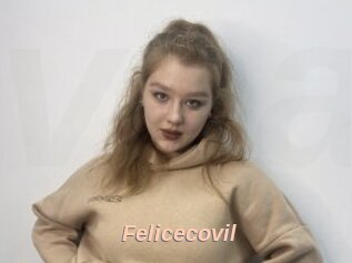 Felicecovil