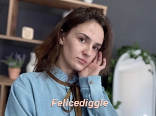 Felicediggle