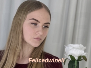 Felicedwinell