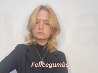 Felicegumbs