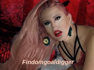 Findomgoaldigger