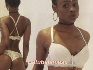 Gatubela_masc
