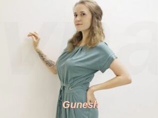 Gunesh
