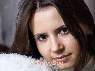 Harley_Due