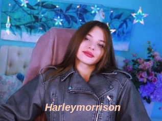 Harleymorrison
