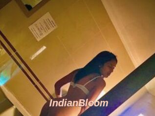 IndianBloom
