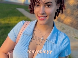Iceyspicyy