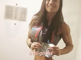 Indigofox