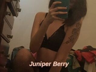 Juniper_Berry