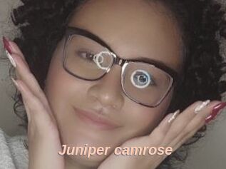 Juniper_camrose