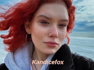 Kandicefox