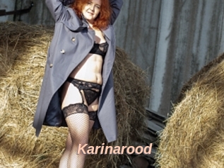 Karinarood