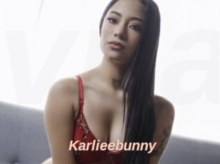 Karlieebunny