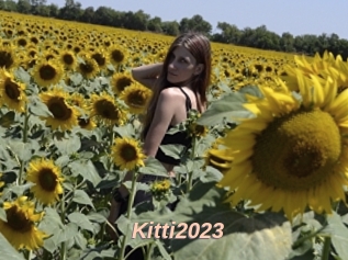 Kitti2023