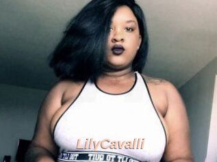 Lily_Cavalli