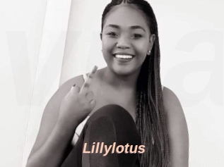 Lillylotus