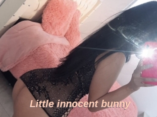 Little_innocent_bunny