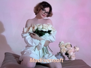 Madisonsoft