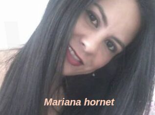 Mariana_hornet