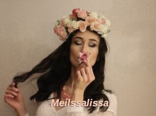 Meilssalissa