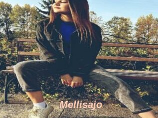 Mellisajo