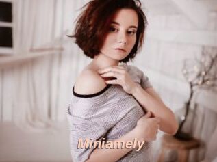 Miniamely
