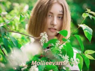 Mollieevans