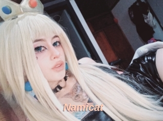 Namicat