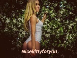 Nicekittyforyou