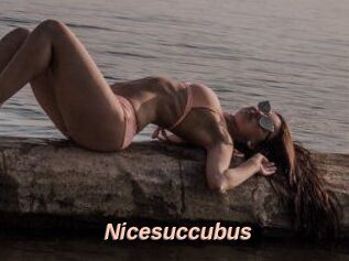 Nicesuccubus