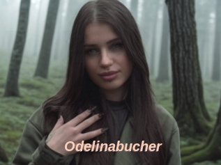 Odelinabucher