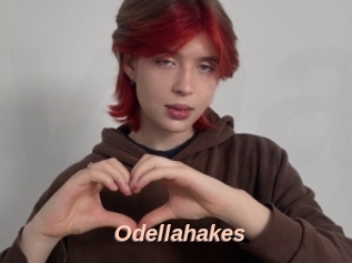 Odellahakes