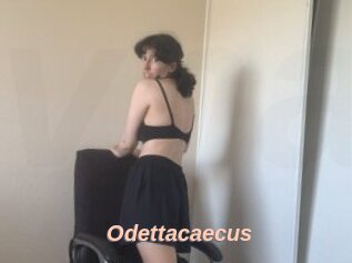 Odettacaecus