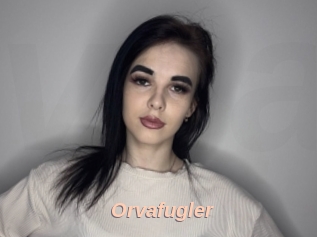Orvafugler