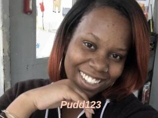 Pudd123