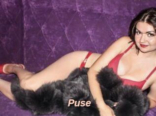 Puse