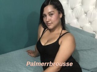 Palmerrbrousse