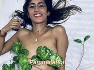 Pammelahott