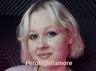 Petulagallamore