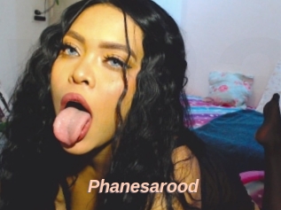 Phanesarood