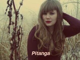 Pitanga