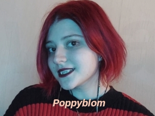 Poppyblom